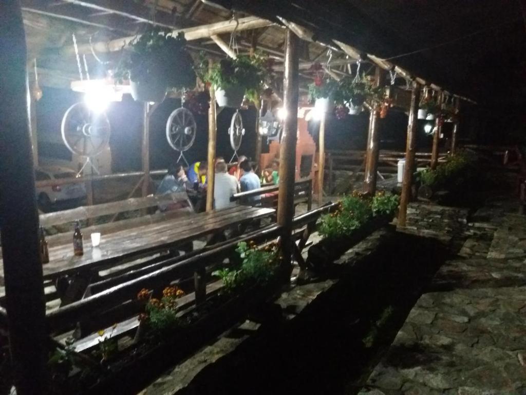 Pensiunea Brandusa Ranca Luaran gambar